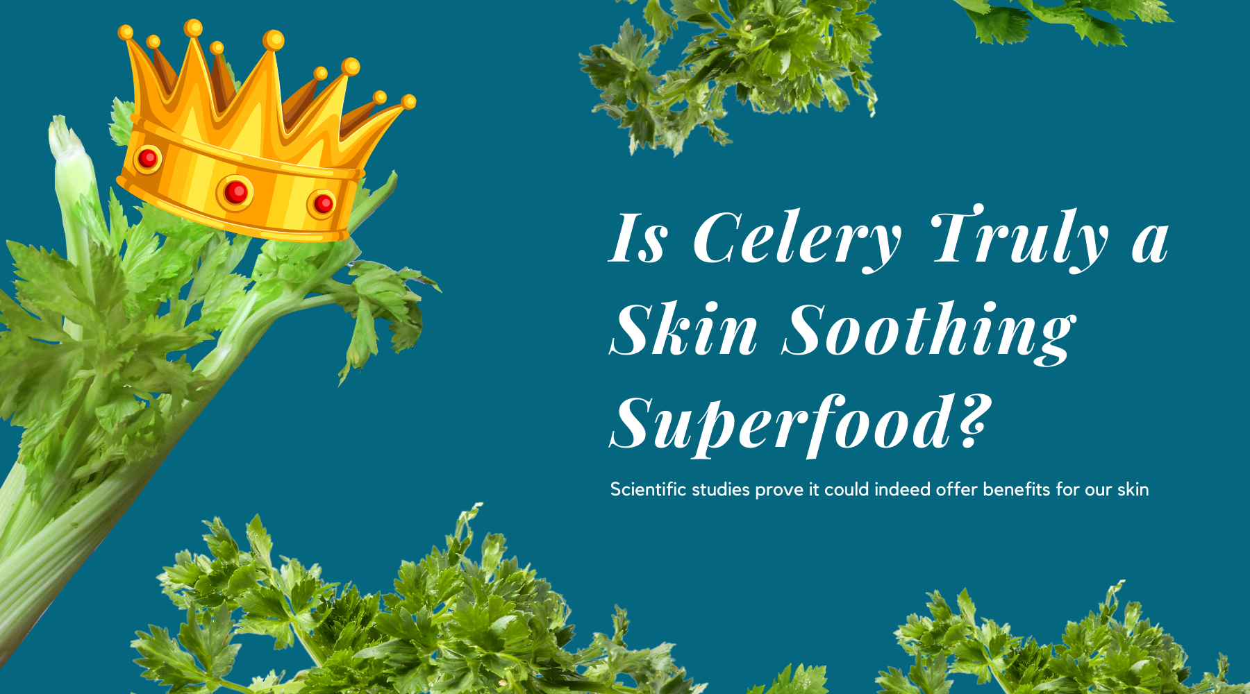 Is Celery a Skin Superfood Hanna Sillitoe