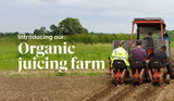 Organic Juice Cleanse Farm