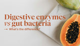 Digestive Enzymes vs Gut Bacteria: What’s the Difference?