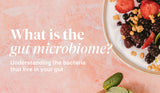 What Is the Gut Microbiome? Understanding the Bacteria That Live in Your Gut