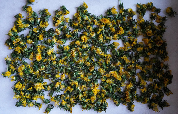 Dandelion Skin Salve