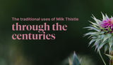 Exploring the History and Traditional Uses of Milk Thistle