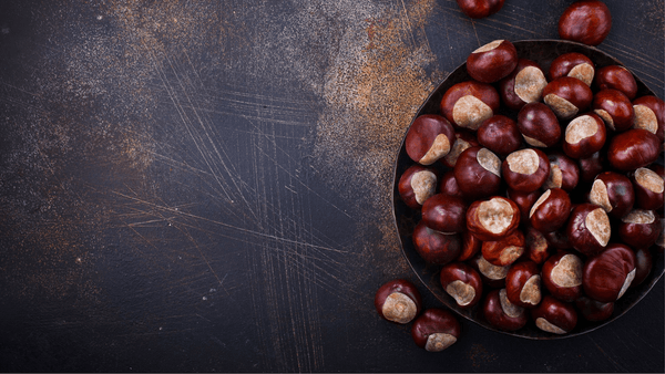 Conker Fabric Cleaner