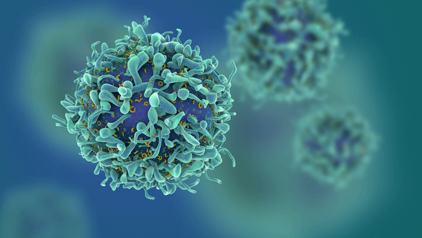 CoronaVirus and our Immune System - Hanna Sillitoe
