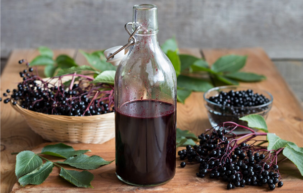 Elderberry Syrup