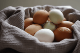 Eggs and Eczema Should I go Veggan?