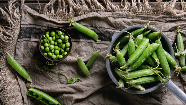 Planting Peas for Beginners - Hanna Sillitoe