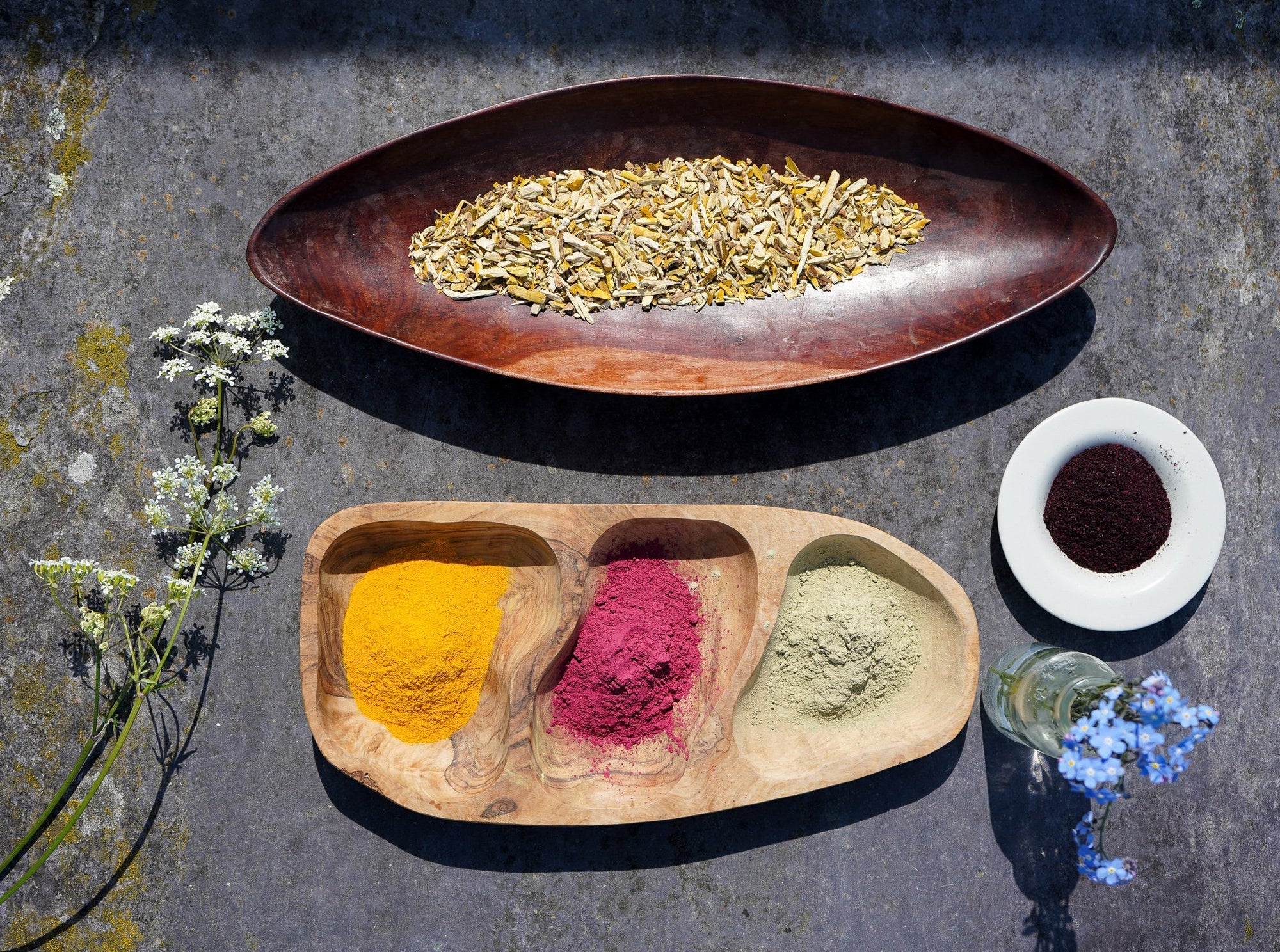 The Making of My BestSelling Probiotic Hanna Sillitoe